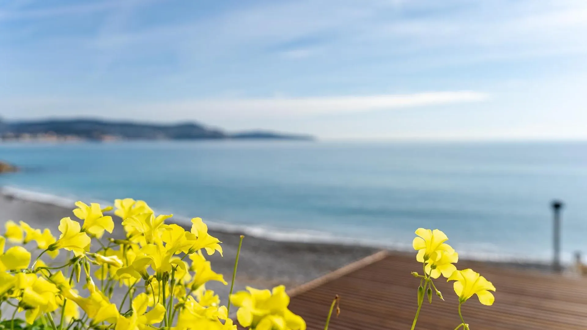 Promenade Des Anglais - 2 Chambres - Jardin Nice Francie